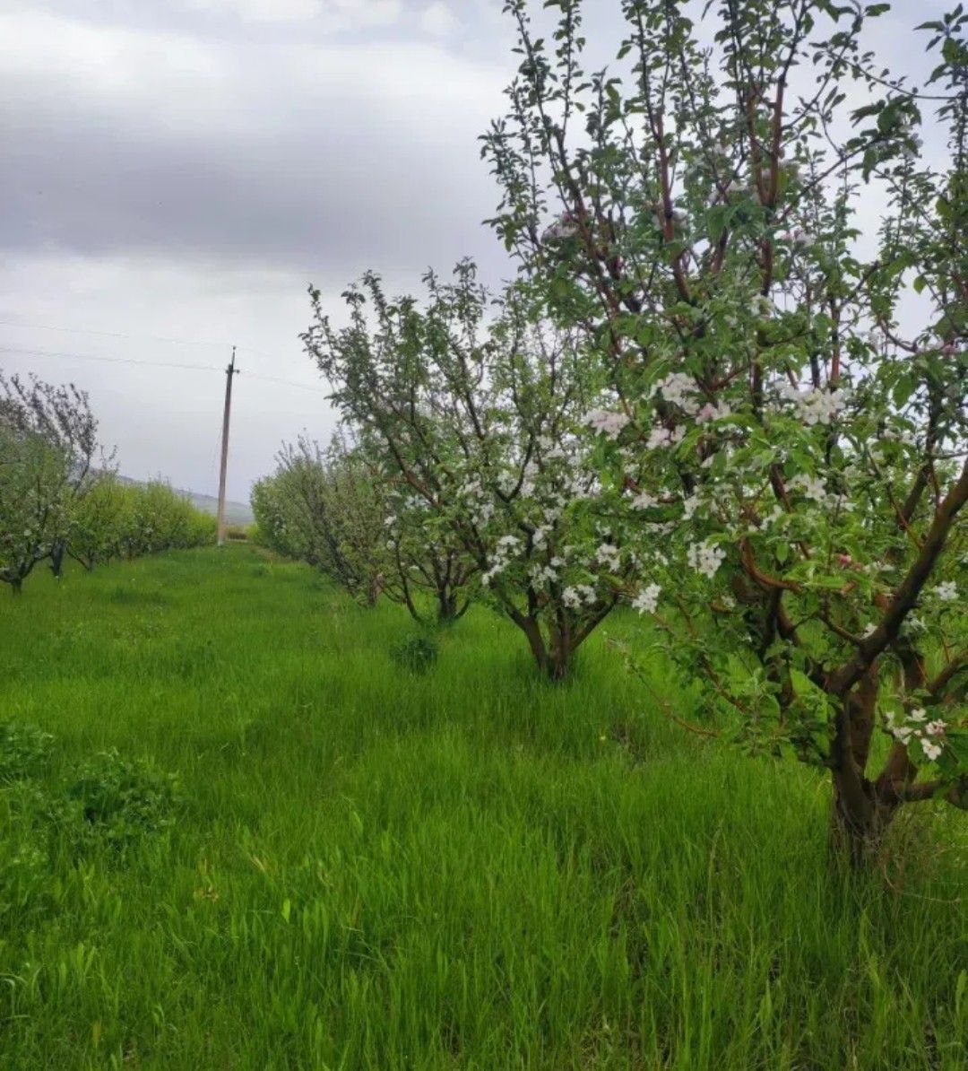 Land Area on Kotayq in Kotayk Province, Armenia , 14700  | 38309