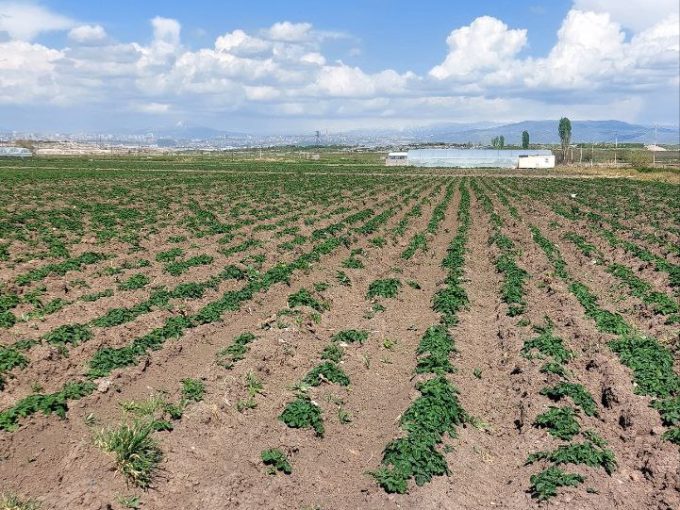 Land Area,Agricultural on Xukasavan in Ghukasavan, Armenia , 2300  | 127905